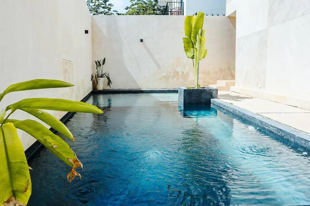 Zen 09 - La Veleta Jungle View *Wifi, 2 Pools* Apartment Tulum Mexico